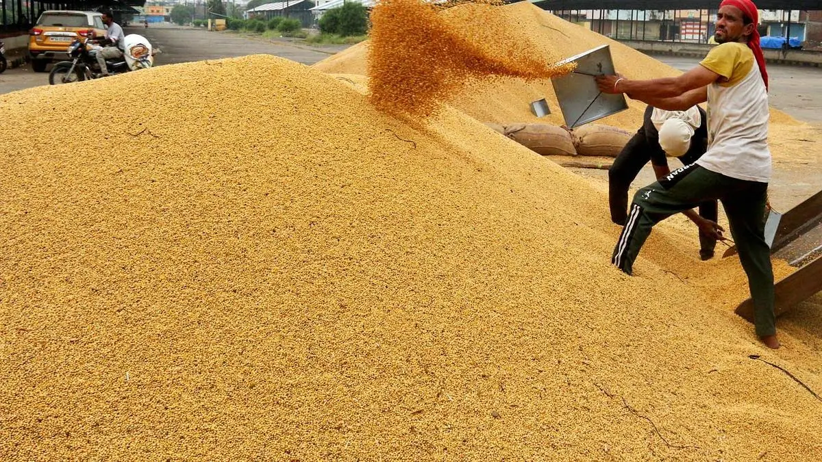 India cancels soymeal export deals, turns to African soybean imports, sources say