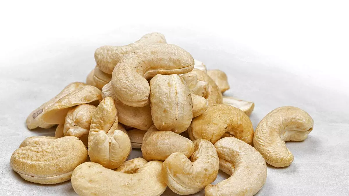 cashew-sector-foresees-a-tough-2023-on-drop-in-exports-demand-the