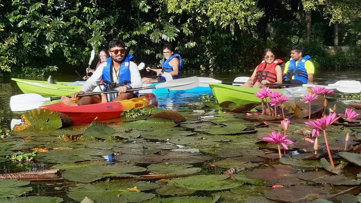 Kerala’s backwater hub Kumarakom tops in revenue per available rooms in country: Survey