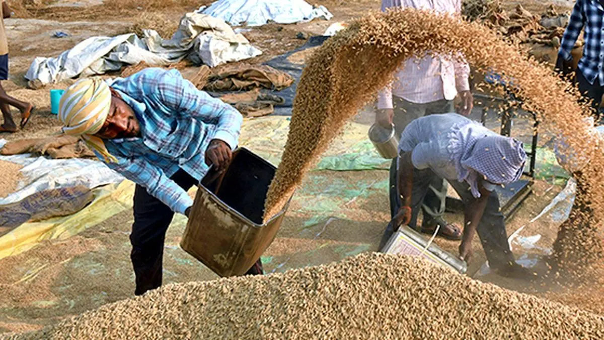 With rice purchases up 11% till December, FCI set to meet 521 lakh tonnes target