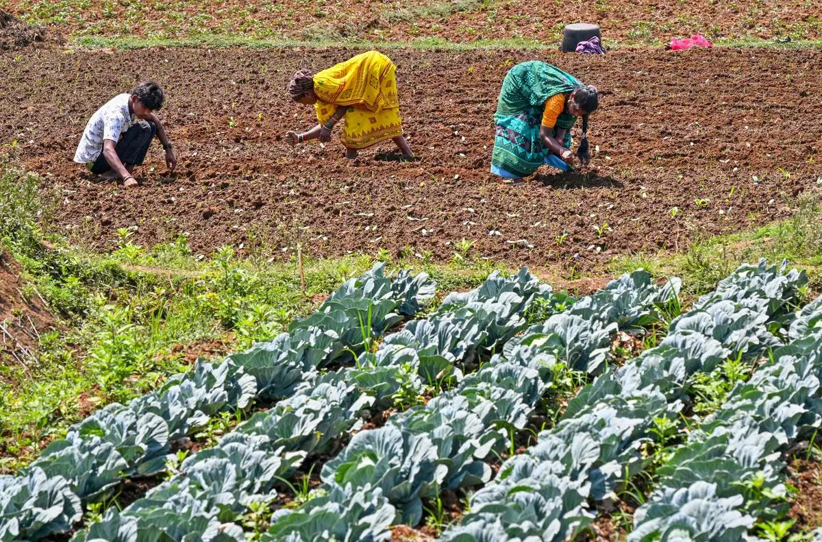 thehindubusinessline.com - Natural farming should become mainstream policy