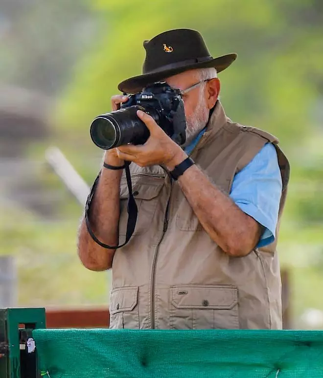 Prime Minister Narendra Modi clicks photographs after releasing cheetahs inside a special enclosure of the Kuno National Park in Madhya Pradesh, Saturday, Sept. 17, 2022. Three of the eight cheetahs brought from Namibia were released as part of a programme to reintroduce the feline in India, seven decades after it was declared extinct in the country. 