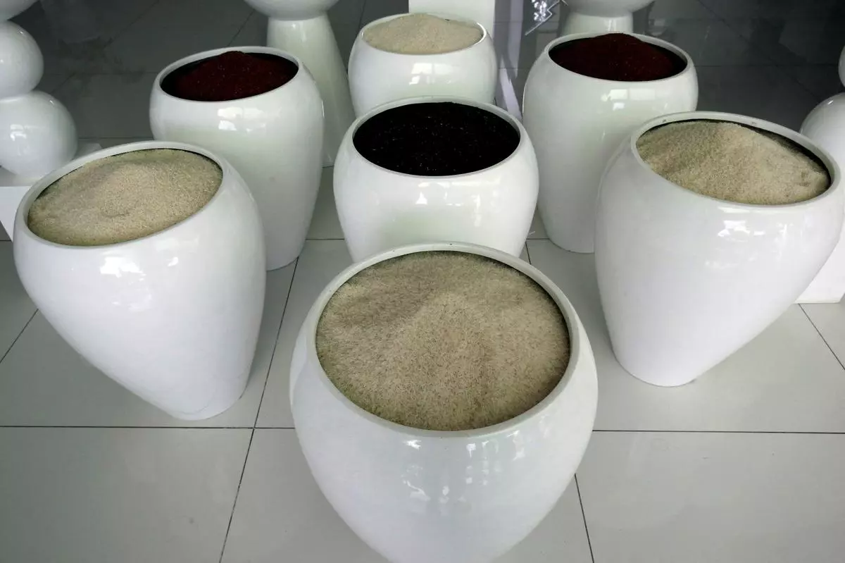 FILE PHOTO: Rice samples are seen demonstrating for export at a rice processing factory.