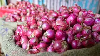 হিন্দু হিন্দু