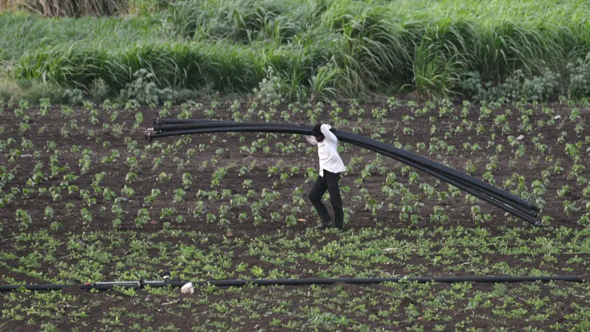 Maharashtra: Inspector Raj fears resurface, agri-input dealers’ strike backed