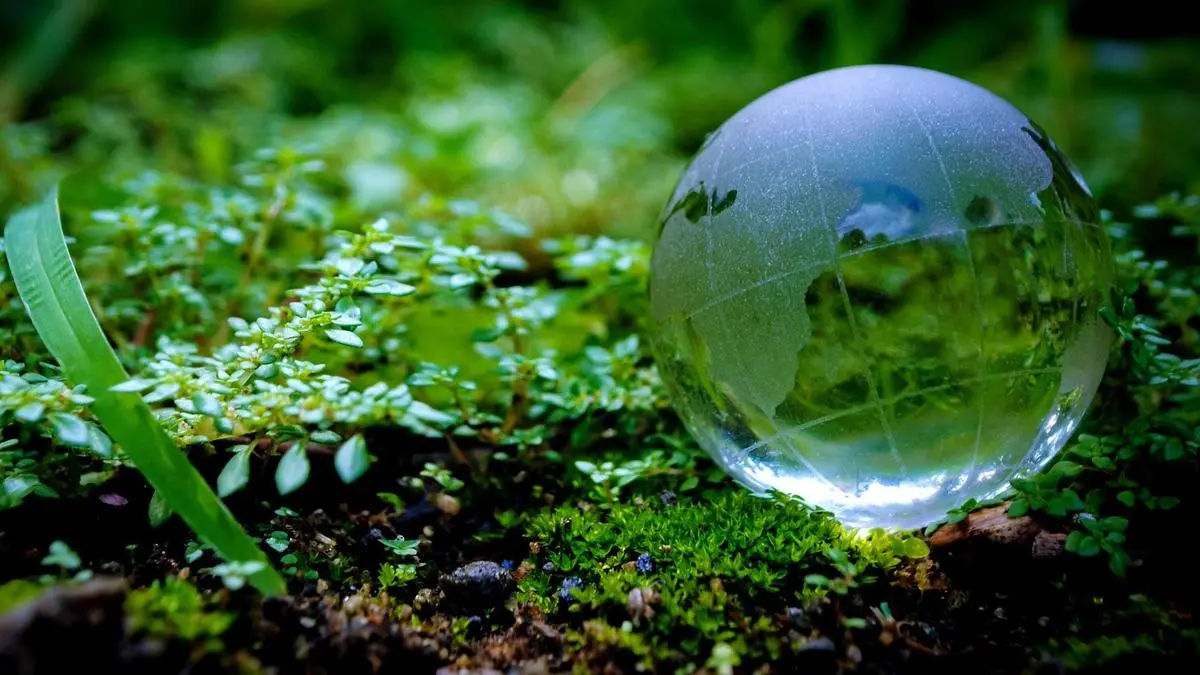 IFGE welcomes Maharashtra Compressed Biogas Policy 2026