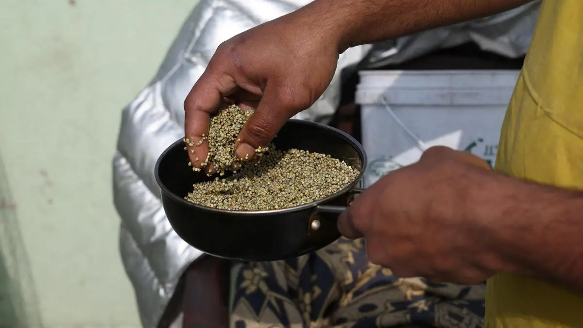 Millet Marvels campaign urges one meal a day; NIN recommends millets form one‑third of cereals, says ICAR‑IIMR director