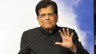 Union Commerce Minister Piyush Goyal (file photo)