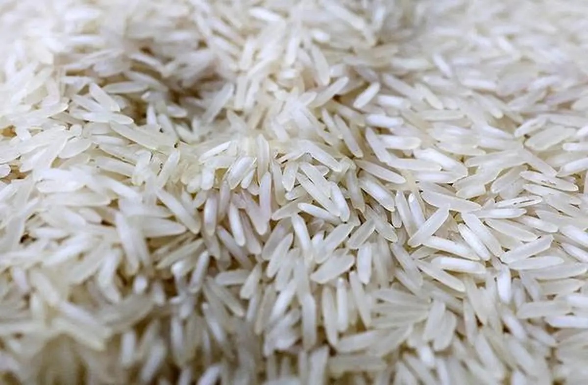 thehindubusinessline.com - Basmati exporters urge govt to suspend ₹83/tonne levy amid delayed payment, shrinking margin