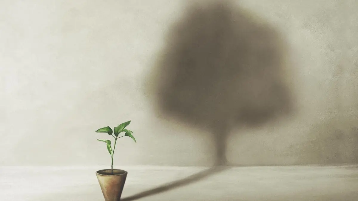 Motilal Oswal Nifty Midcap 150 Index Fund, Nippon India ETF Nifty Midcap 150, Tata Nifty Midcap 150 Momentum 50 Index Fund: Decoding Mid-Cap Passive Funds