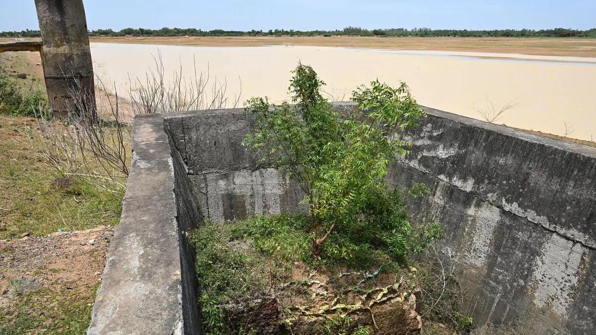 Neglected water-bodies are fuelling India’s flood woes