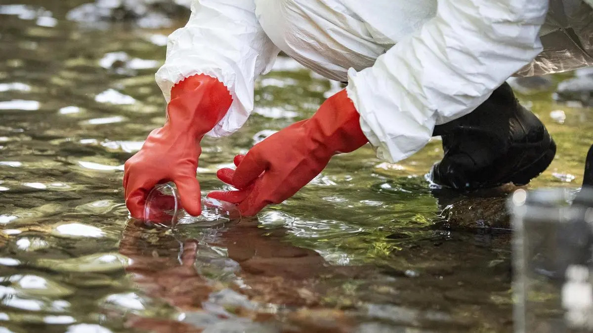 Foam ceramics that break down stubborn water pollutants