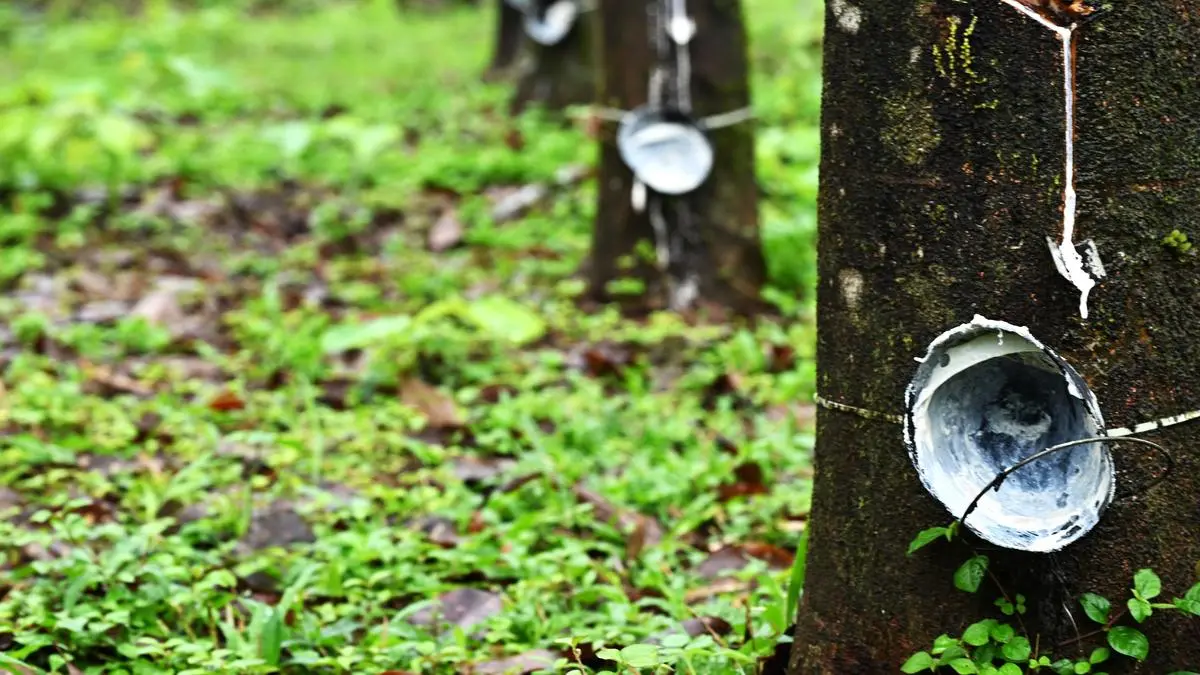 Rubber Board rejects tyre industry’s claim on production data mismatch