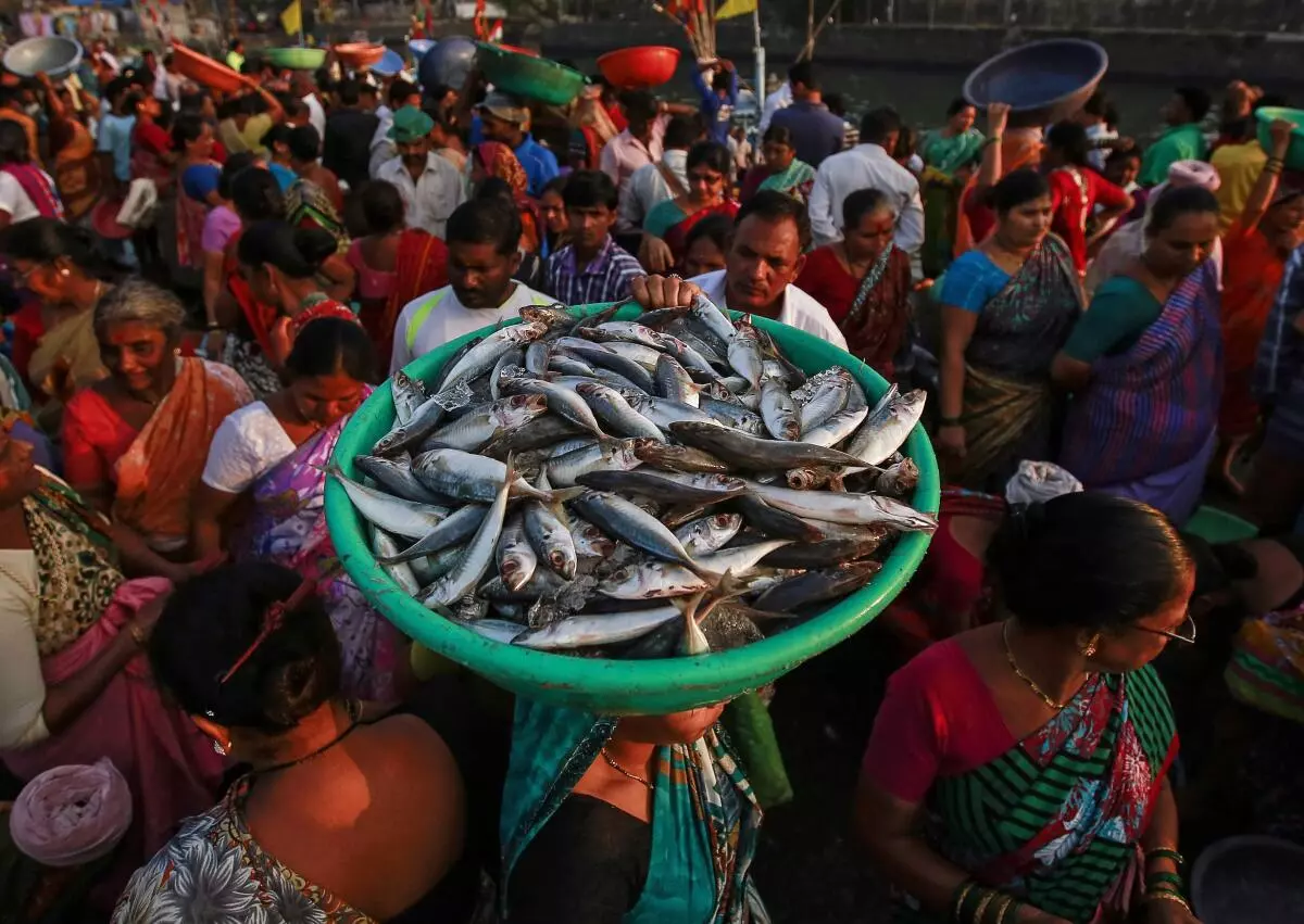 A woman carries fish for sale at a wholesale market at a harbour in Mumbai