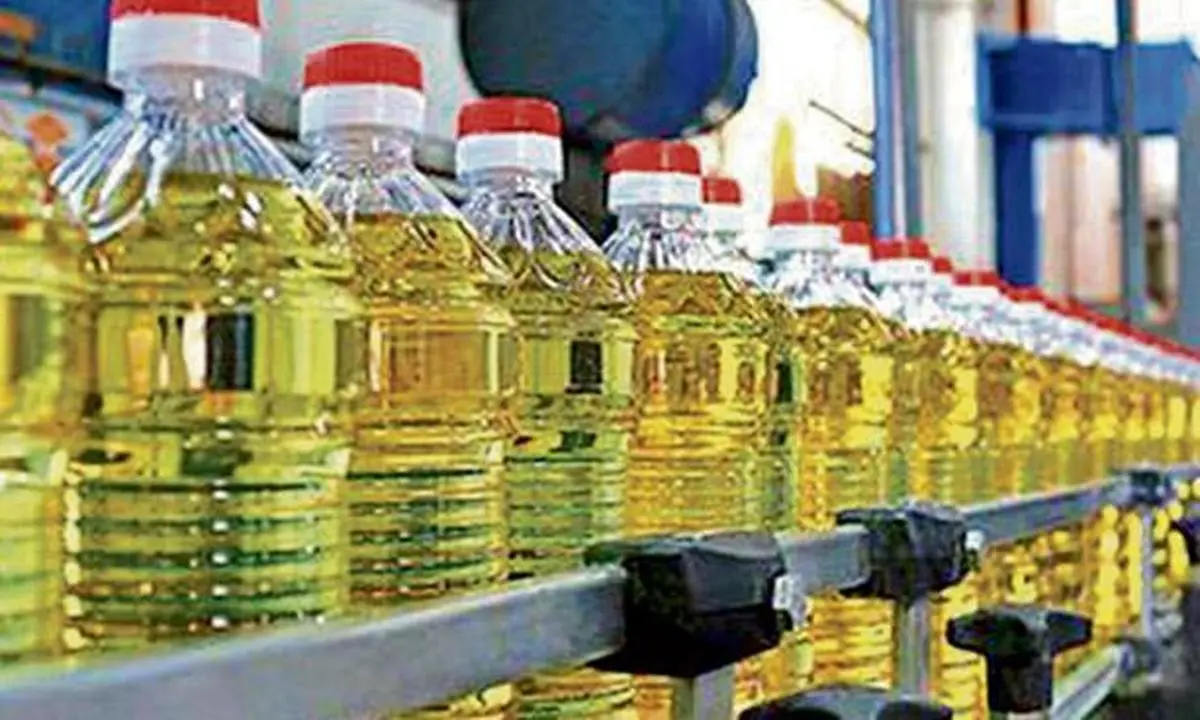 thehindubusinessline.com - Edible oils, industry essentials drive growth outlook; FMCG recovery gradual, says Report