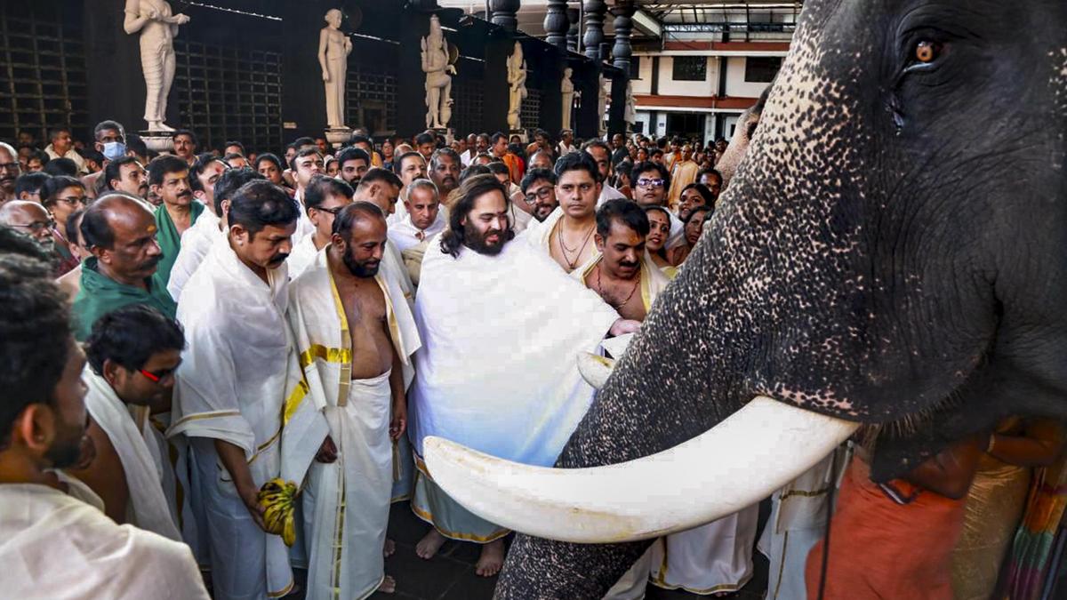 Anant Ambani backs temple restoration, unveils elephant welfare plan at Guruvayur