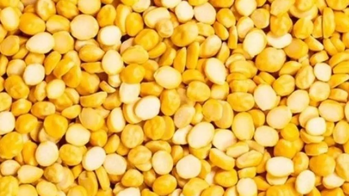 Jeyyam Global Foods sets price band at ₹59-61 per share for ₹82 crore SME IPO