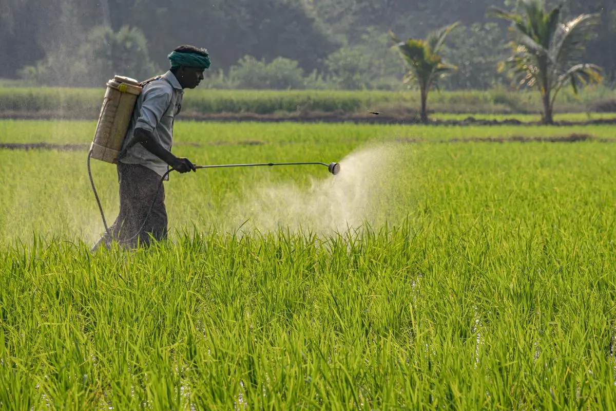 thehindubusinessline.com - TN extends samba crop insurance deadline to November 30