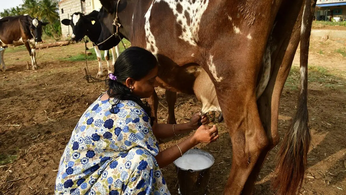 10 lakh litres a day: Women SHGs lead dairy push in 31 UP districts