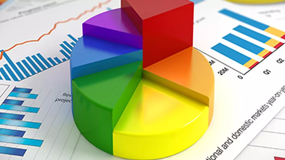 Rebalance portfolio to manage risk - The Hindu BusinessLine