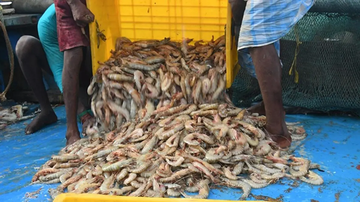 US International Trade Commission approves countervailing duties on frozen shrimp imports