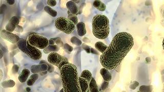 Multidrug resistant bacteria