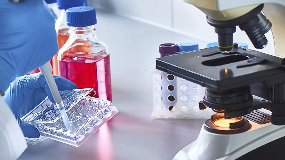 New fluorescent material detects anti-cancer drug overdose in minutes