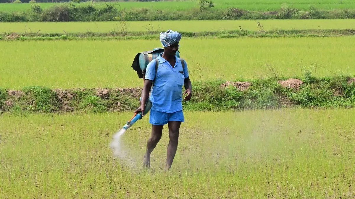Indian summer crops sowing up 7% on conducive weather, ample water