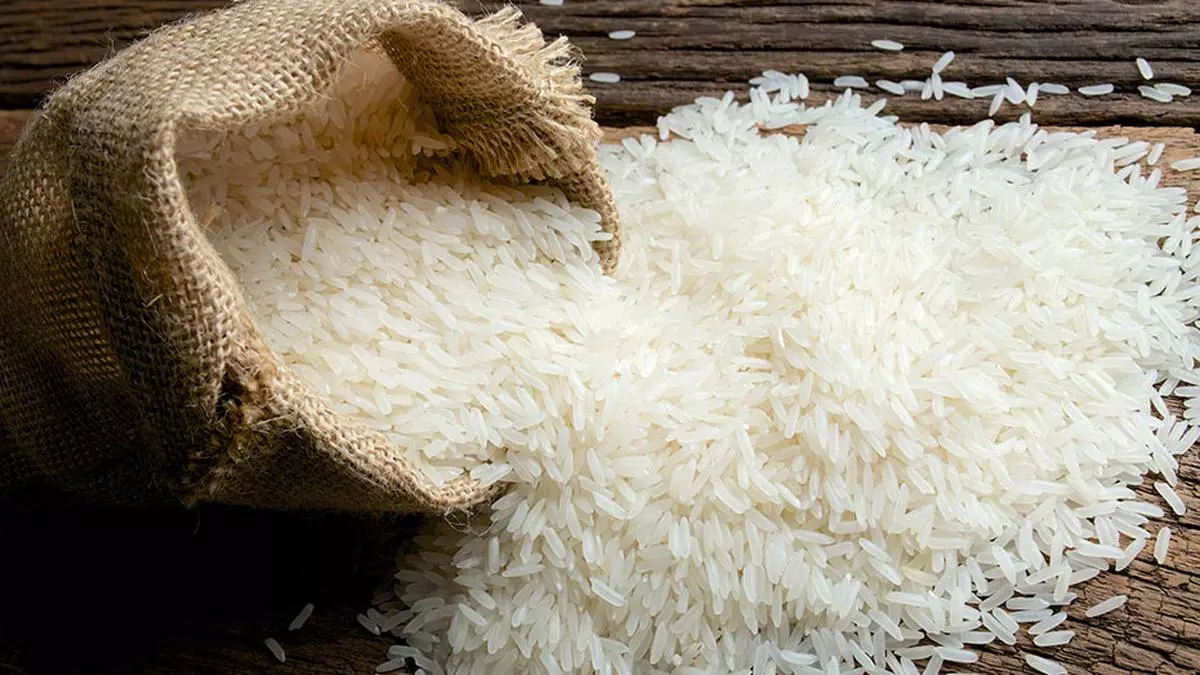 NRIs In US, Canada Rush To Stock Up On Rice After India’s Export Ban ...