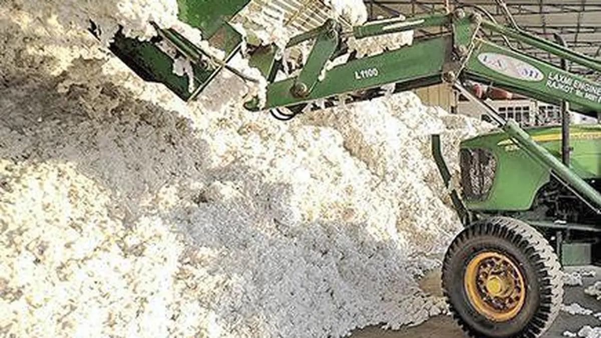 India’s cotton imports projected to hit record 50 lakh bales in 2025-26