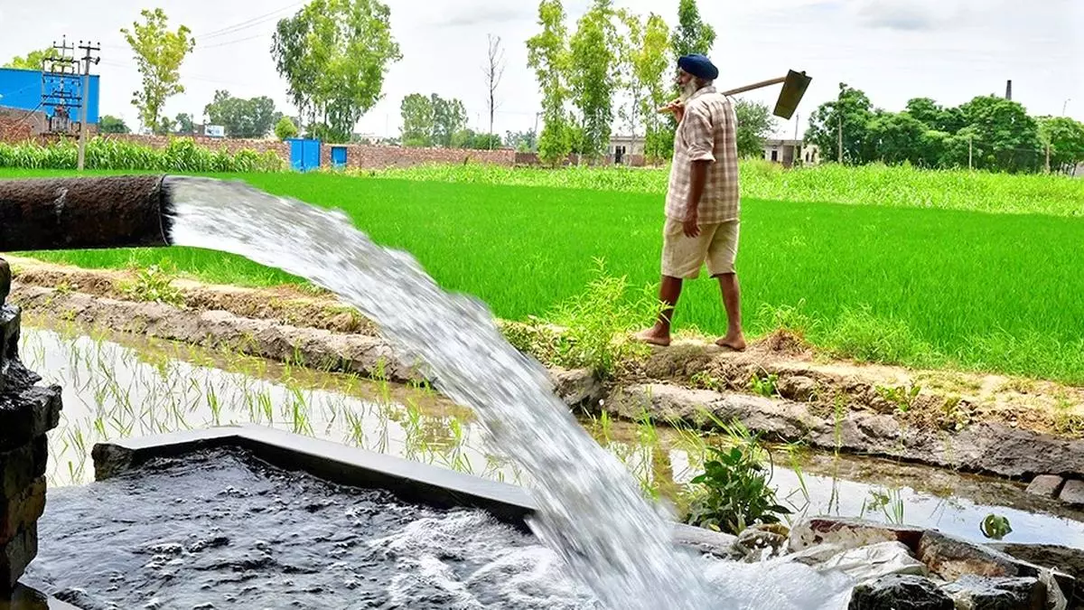 Reviving Groundwater: How Alternative Crops Could Turn the Tide Since 2000