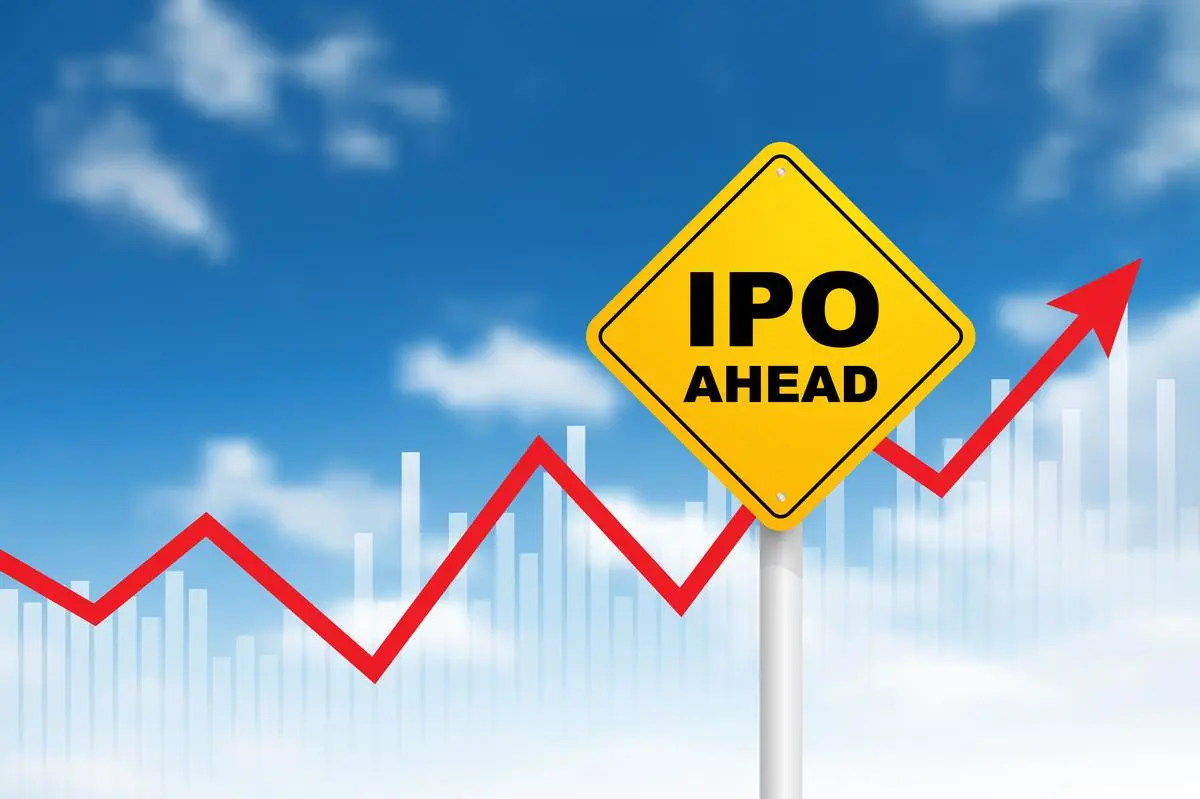 thehindubusinessline.com - Citibank India sees 'billion-dollar IPOs' boosting business, country head says