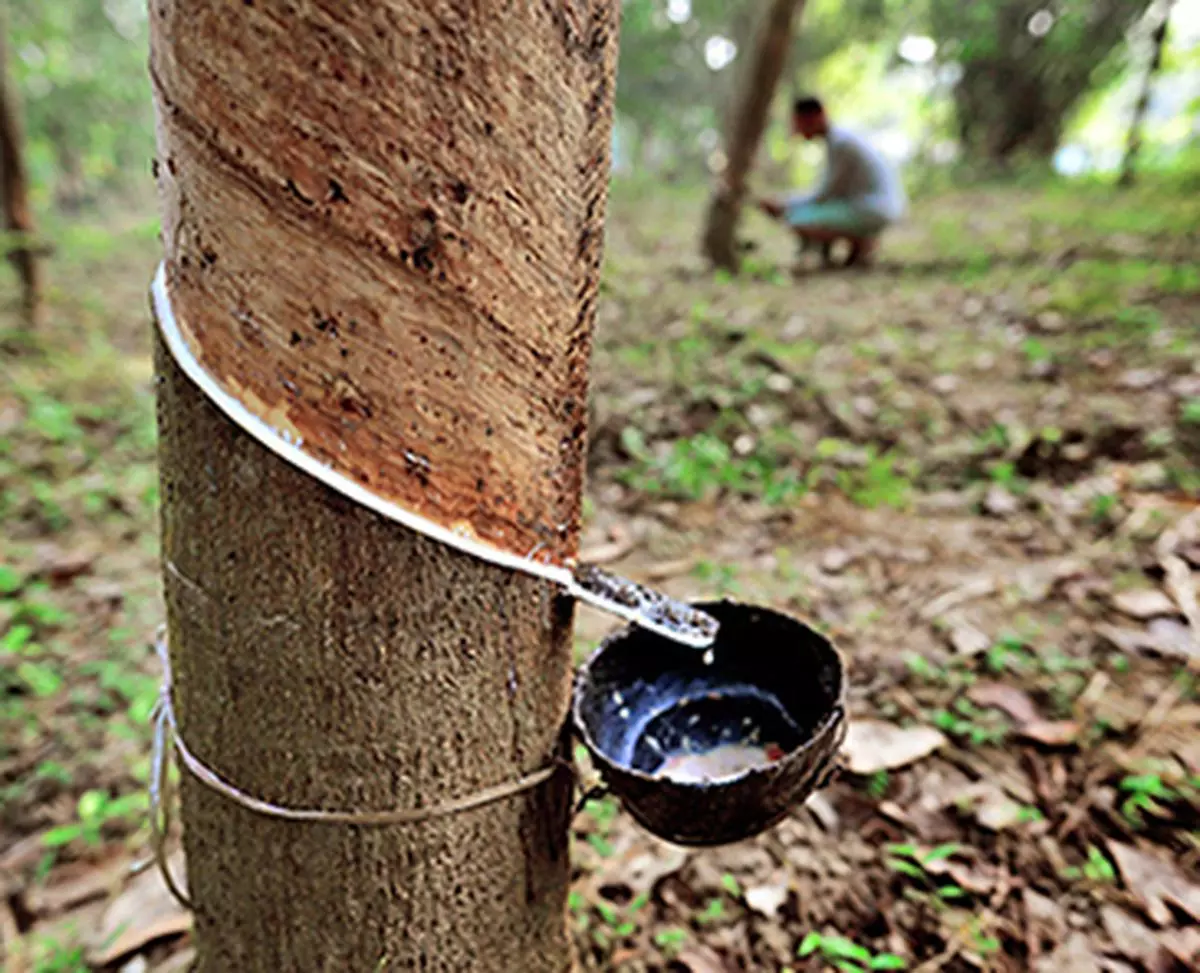 India natural rubber production sees signs of revival, Auto News, ET Auto