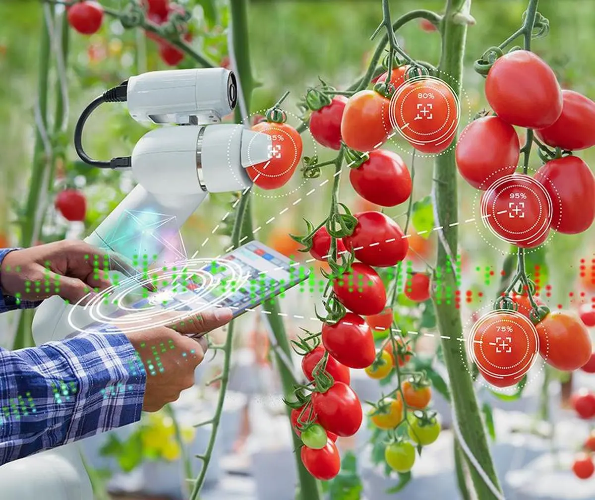 thehindubusinessline.com - French startup Brad Technology scouting for Indian partnership in agritech