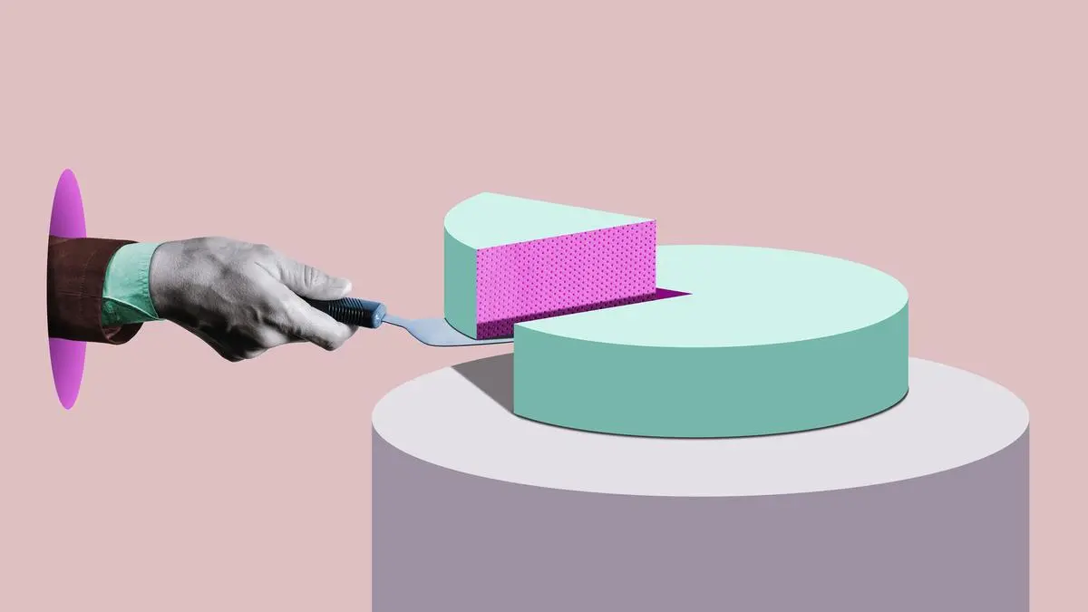 What are fractional shares? What has been the experience in Canada, US and Japan, explained