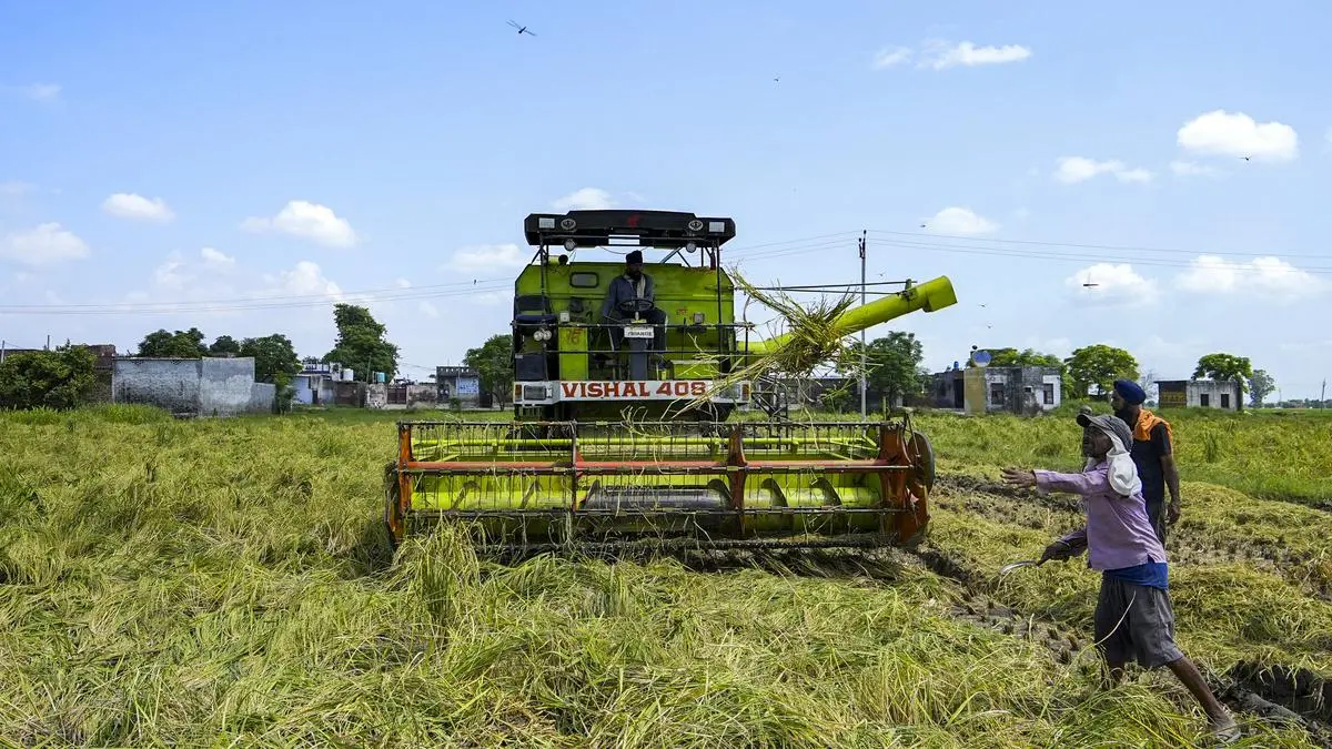Smart farming on leveraging technology to empower Indian farmers