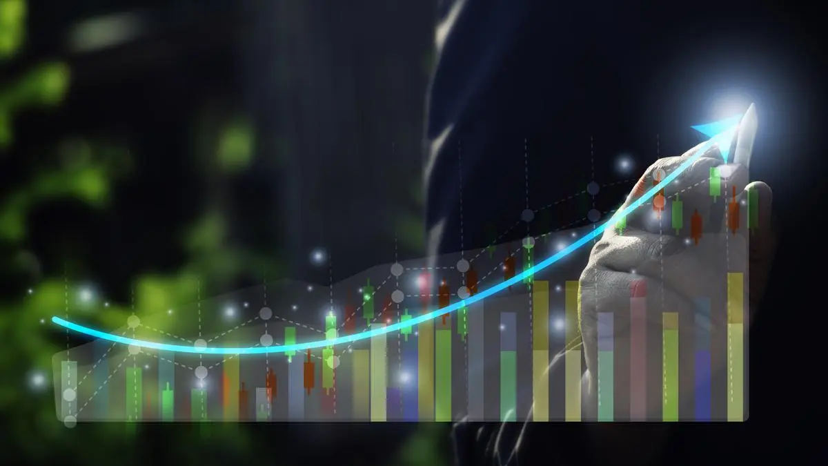 Maximising idle funds in stock market