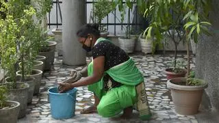 The draft bill also provides for the registration of workers, employers, and service agencies, along with the creation of a State Domestic Workers Welfare Board to manage a welfare fund and oversee implementation.