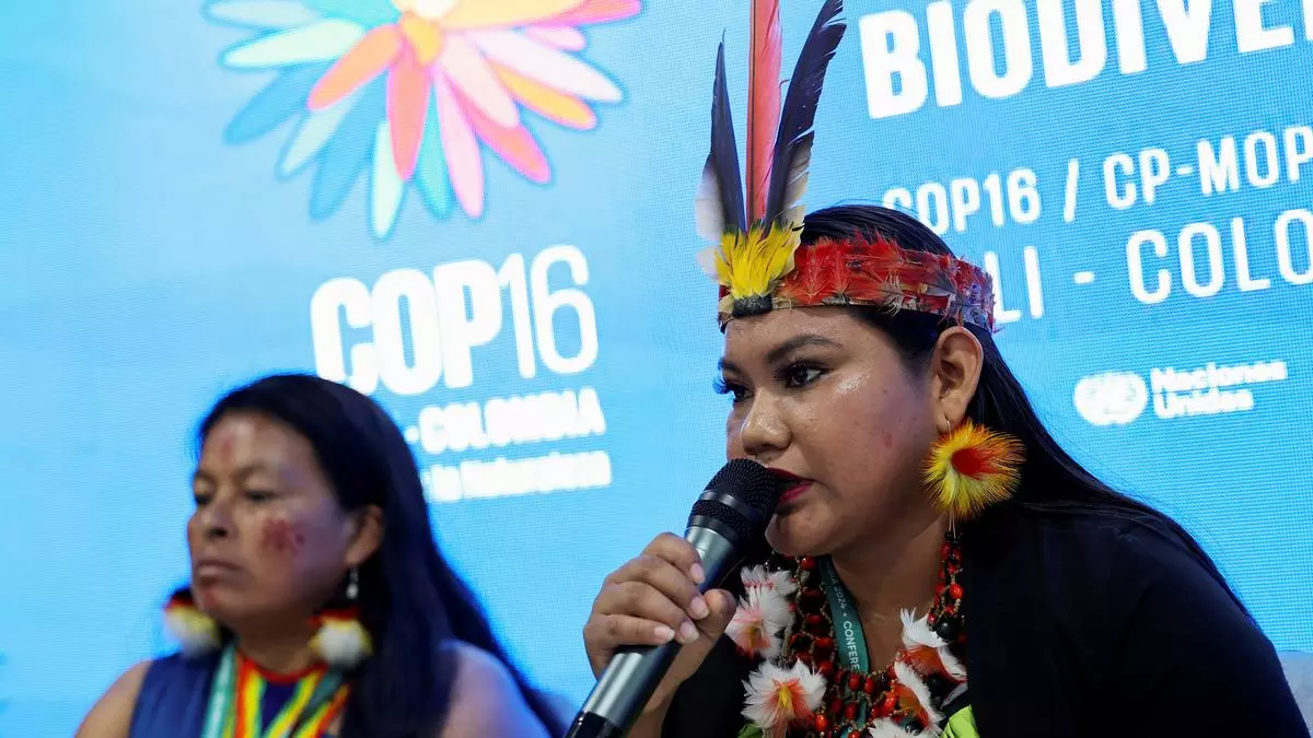 UN COP16 biodiversity summit agrees to establish Indigenous subsidiary body