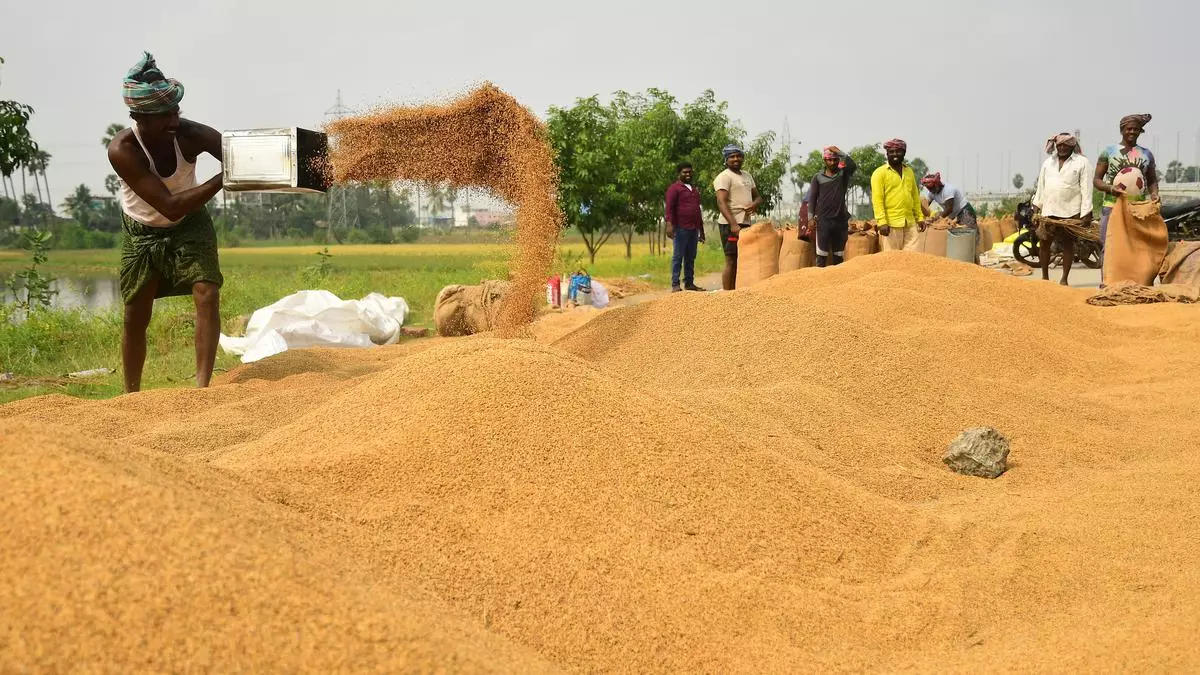 Global rice prices up 7% in a month on high demand, low supplies