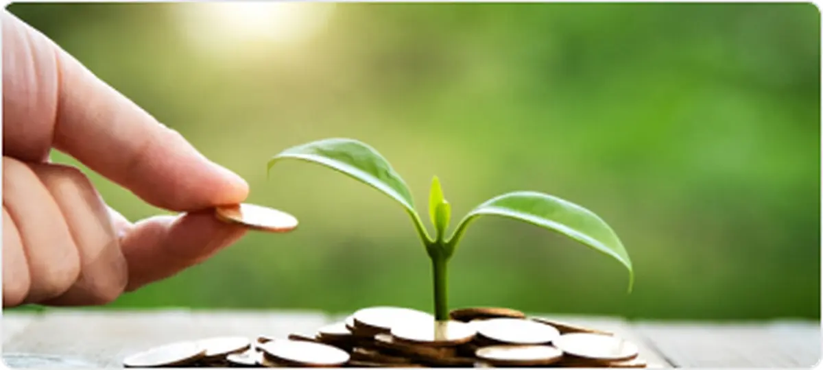 thehindubusinessline.com - Tata AIA launches term plan to shield families from education loan debt