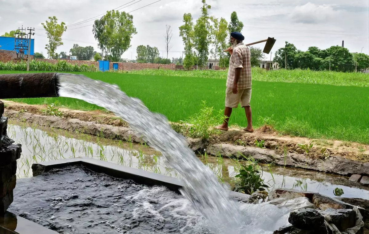 Punjab takes about 5,400 litres of water to grow one kilogram of rice
