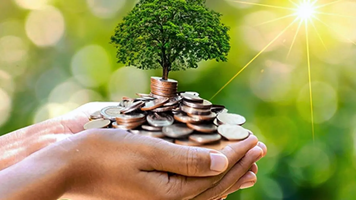 NBFC Paisalo Digital raises ₹200 crore from IREDA 