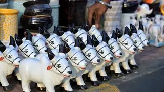 There are over 800 export-oriented ceramic units in Gujarat, most of which are concentrated in and around Morbi, in Saurashtra region of the State. 