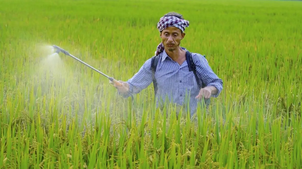 Turning the tariff shock into a strategic reset for Indian agriculture