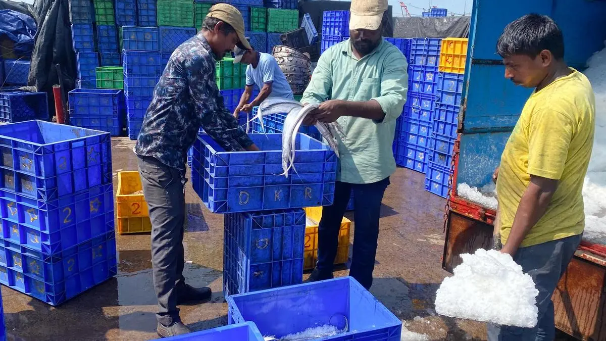 India’s marine exports surge to ₹62,408 crore in 2024-25, Govt sets ₹1 lakh crore target