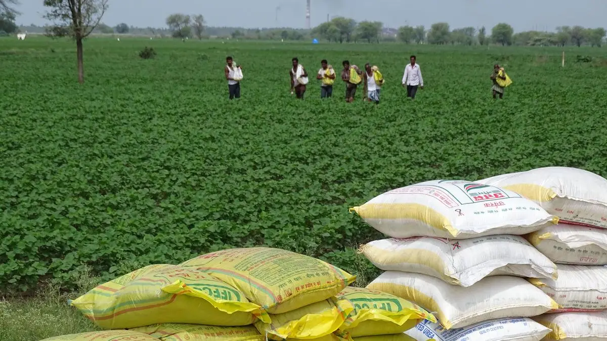 India plans ‘many interventions’ by March ‘26 amid farmers’ complaints on urea shortage