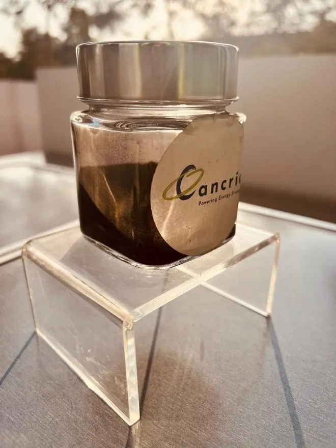 Nano-carbons produced by Cancrie from coconut shells, kernels, sugarcane bagasse, and hair waste Nano-carbons produced by Cancrie from coconut shells, kernels, sugarcane bagasse, and hair waste