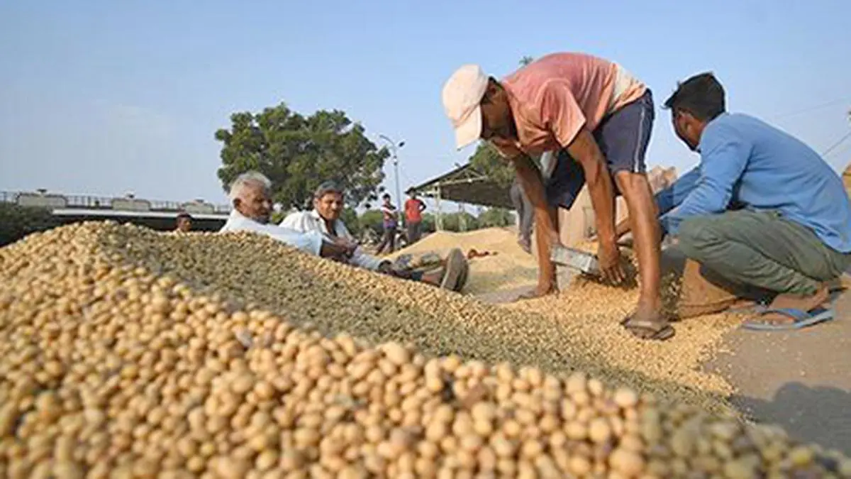 Global grains and oilseeds trade growth continues despite global upheavel, says Rabobank