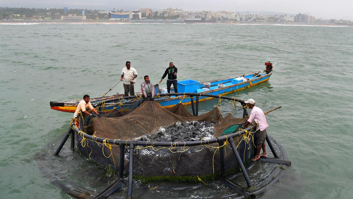Policy brief urges concessional loans, diversification to offset impact of US tariff hike on marine products